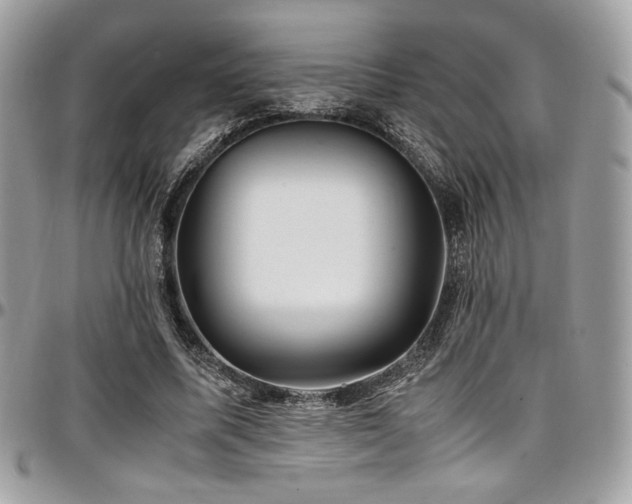 X0000097300587200802151441