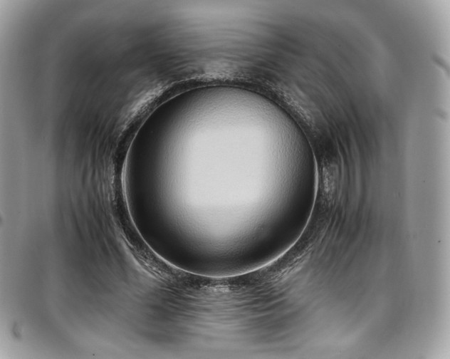 X0000097300588200802151440