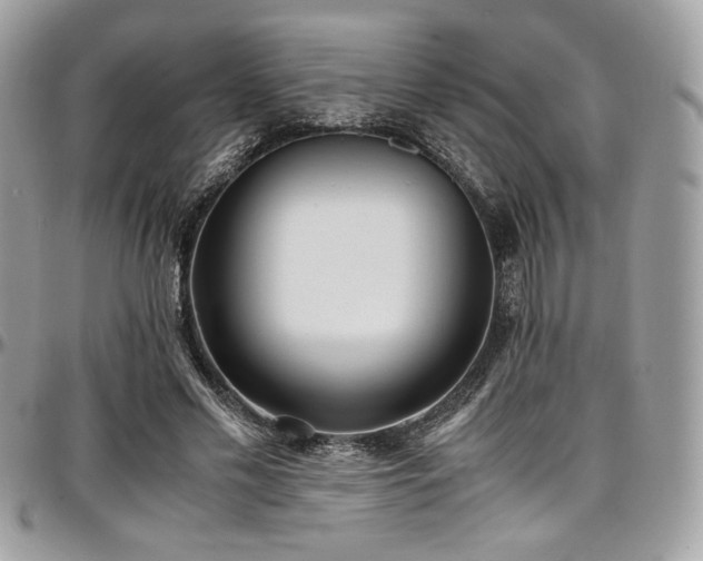 X0000097300589200802151440