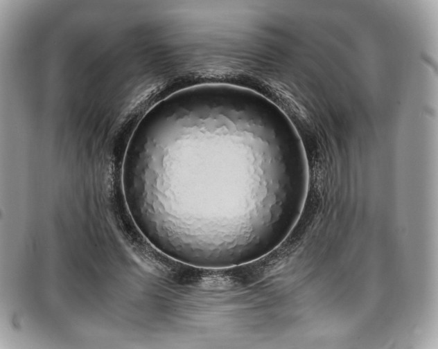 X0000097300591200802151440