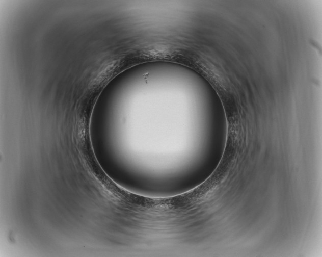 X0000097300593200802151440