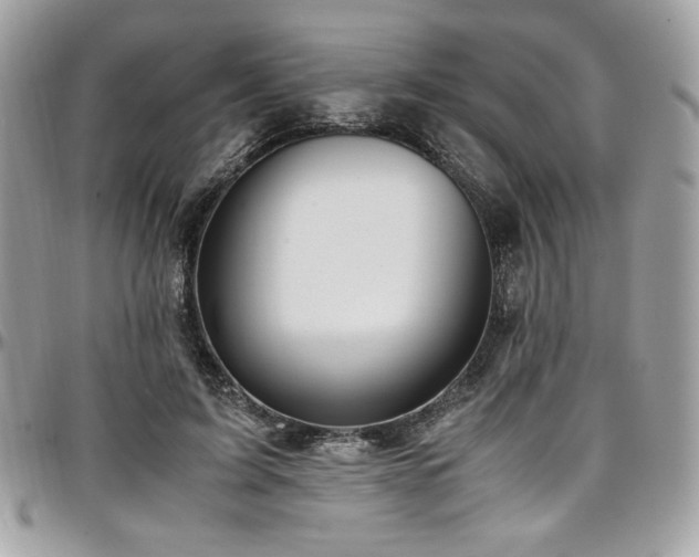 X0000097300595200802151440