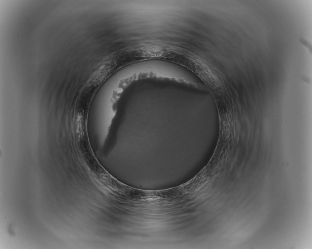 X0000097300598200802151440