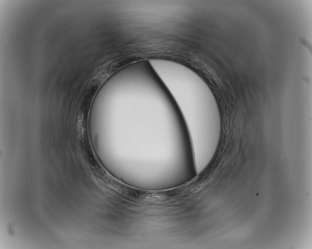 X0000097300599200802151440
