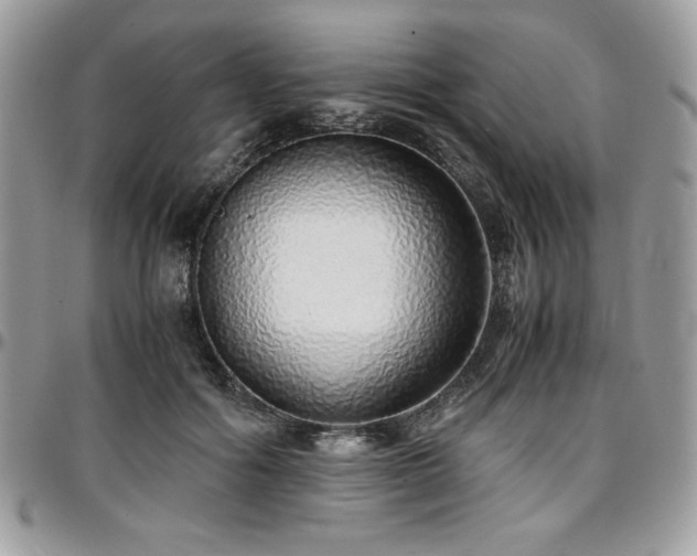 X0000097300602200802151440
