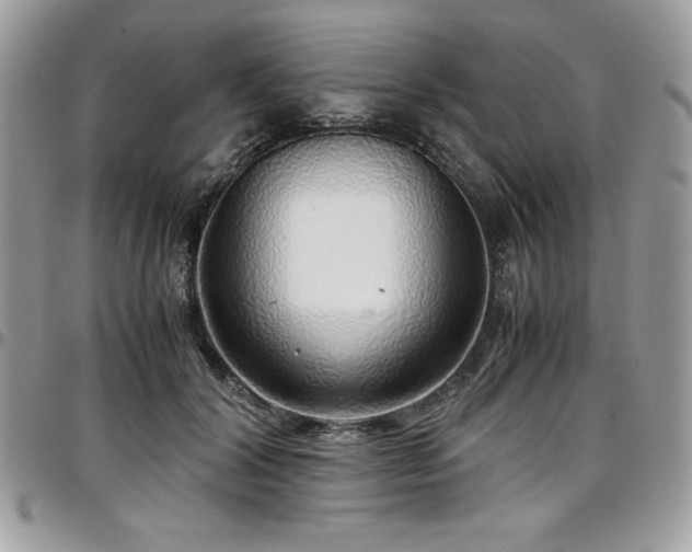 X0000097300604200802151440