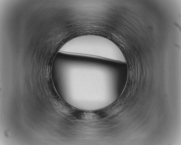X0000097300605200802151440