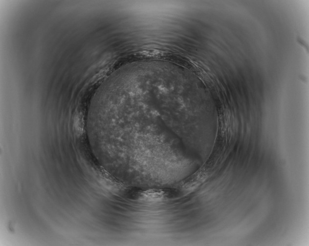X0000097300606200802151440