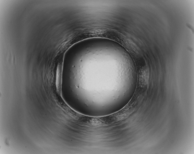 X0000097300608200802151440