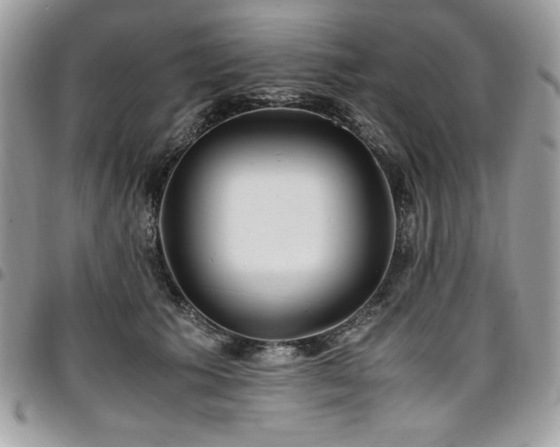 X0000097300609200802151440