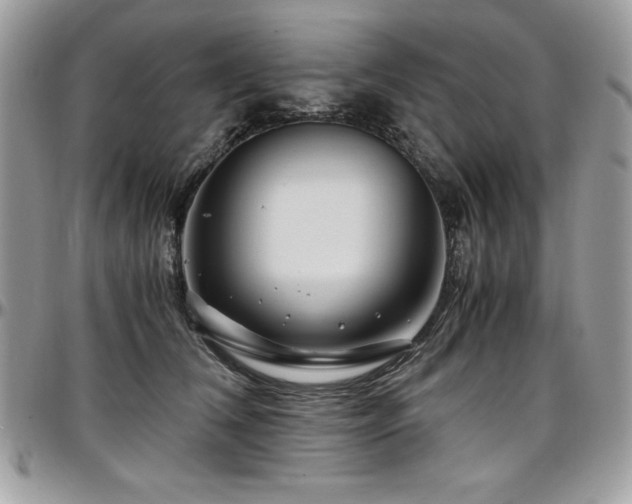 X0000097300612200802151440