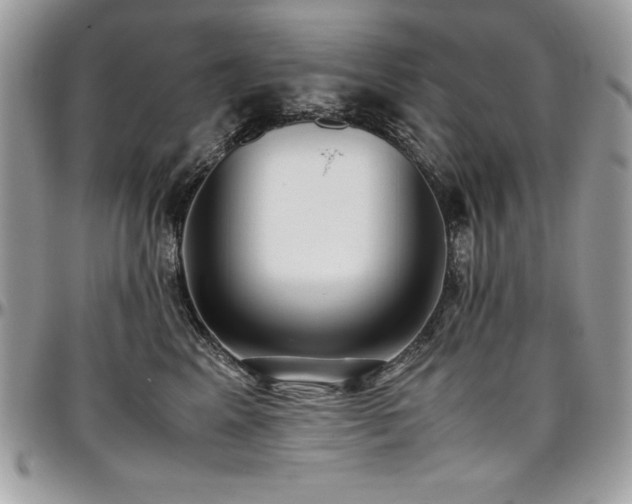 X0000097300617200802151440