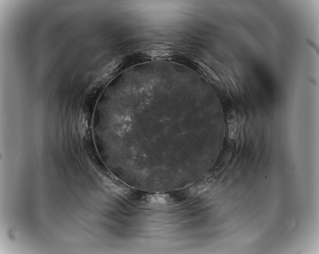 X0000097300618200802151440