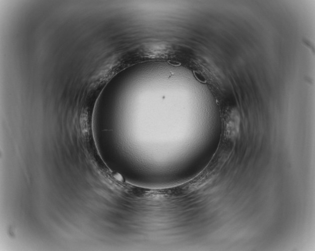 X0000097300620200802151440