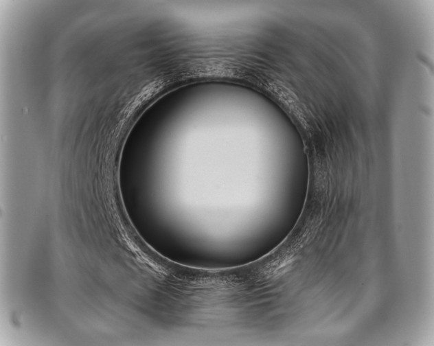 X0000097300625200802151439