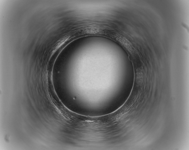 X0000097300626200802151439