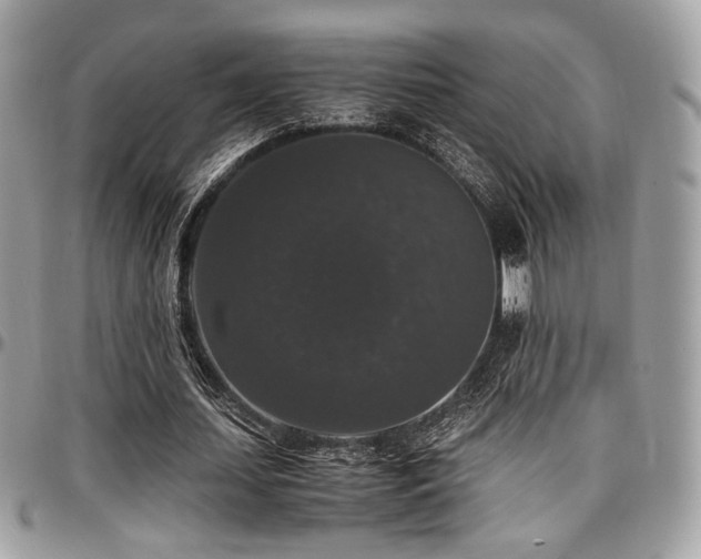 X0000097300627200802151439