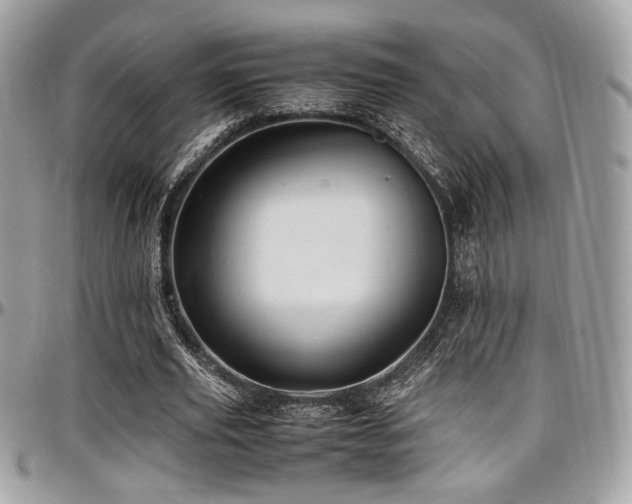 X0000097300629200802151439