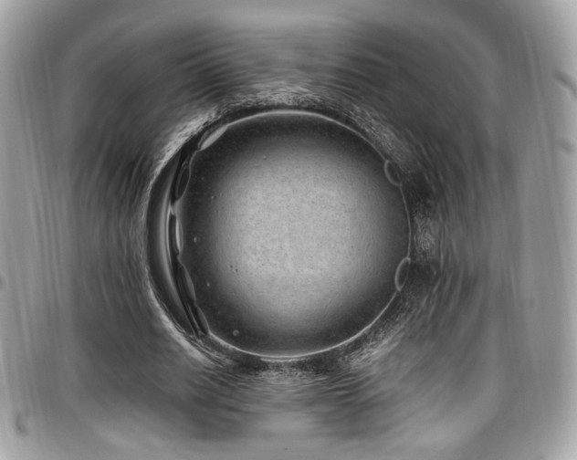 X0000097300630200802151439