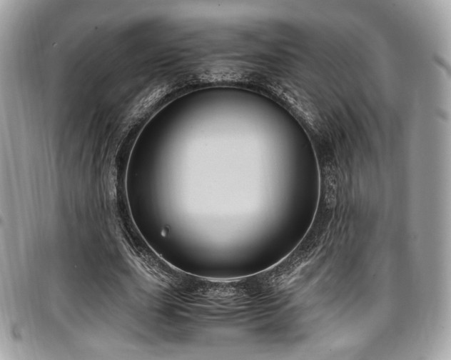 X0000097300631200802151439