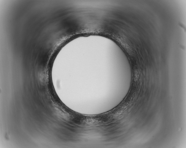 X0000097300632200802151439