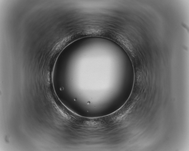 X0000097300633200802151439