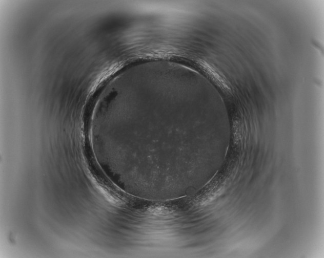 X0000097300634200802151439