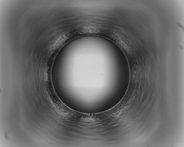 X0000097300635200802151439