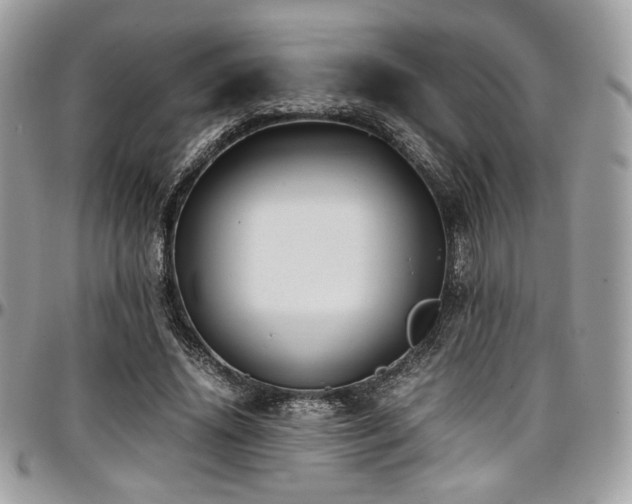 X0000097300636200802151439