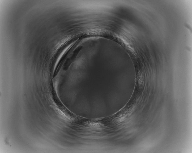X0000097300637200802151439