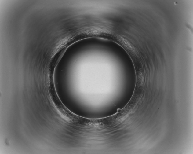 X0000097300638200802151439