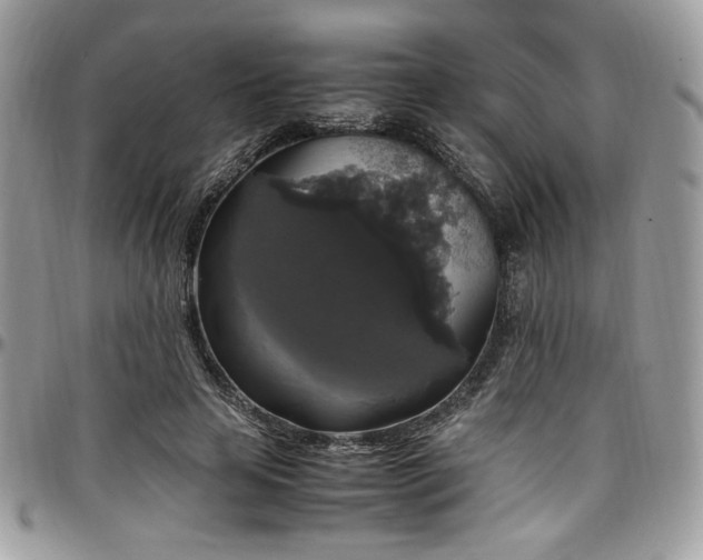 X0000097300641200802151439