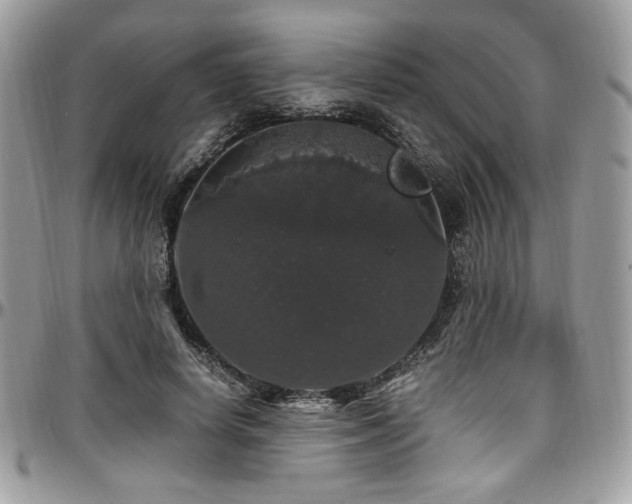X0000097300642200802151439