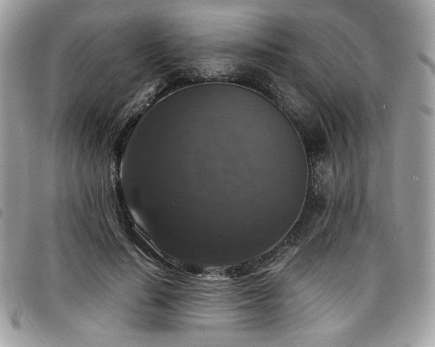 X0000097300644200802151439
