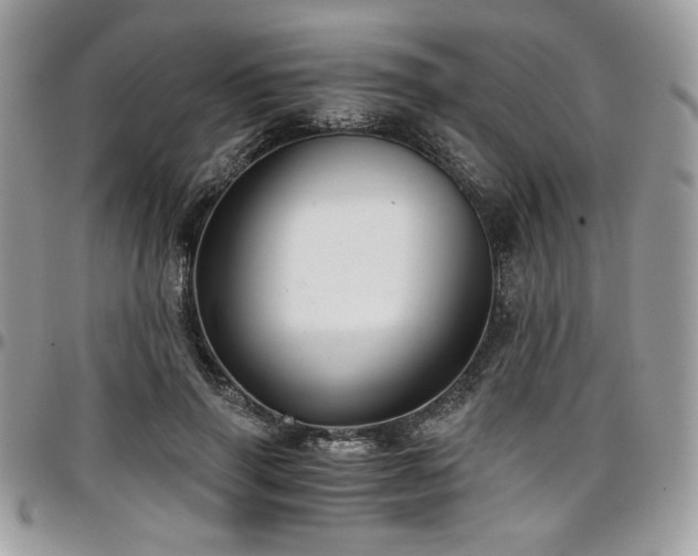 X0000097300645200802151439