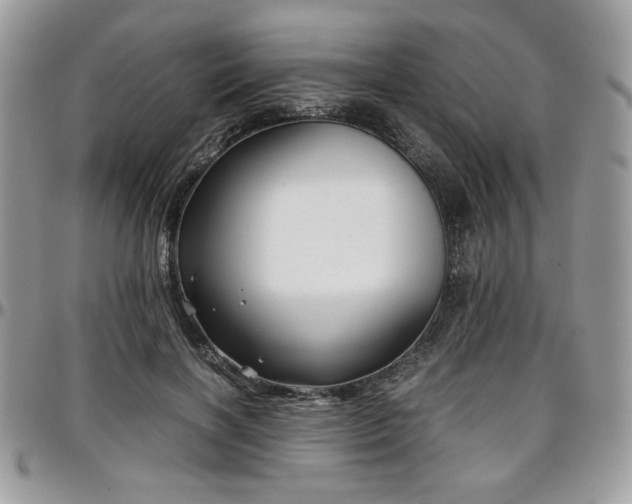 X0000097300646200802151439