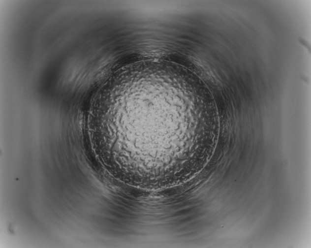 X0000097300647200802151439