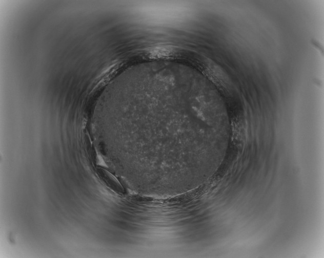 X0000097300648200802151439