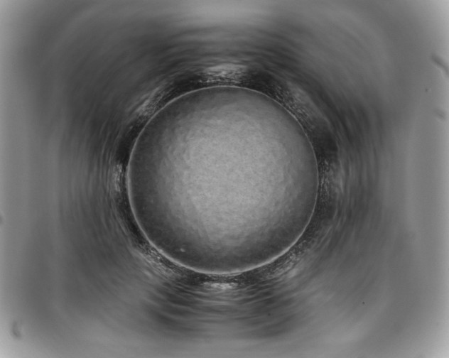 X0000097300649200802151439