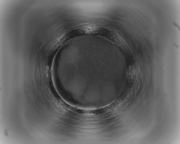 X0000097300650200802151439