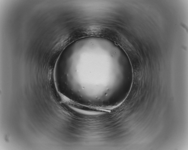 X0000097300652200802151439