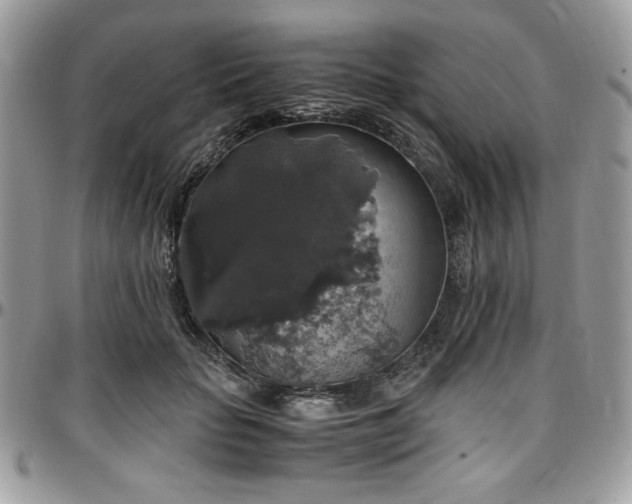 X0000097300653200802151439