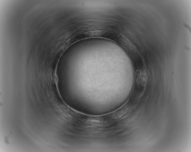 X0000097300655200802151439