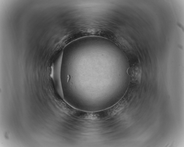 X0000097300656200802151439