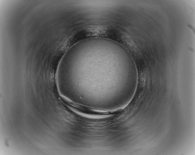 X0000097300657200802151439