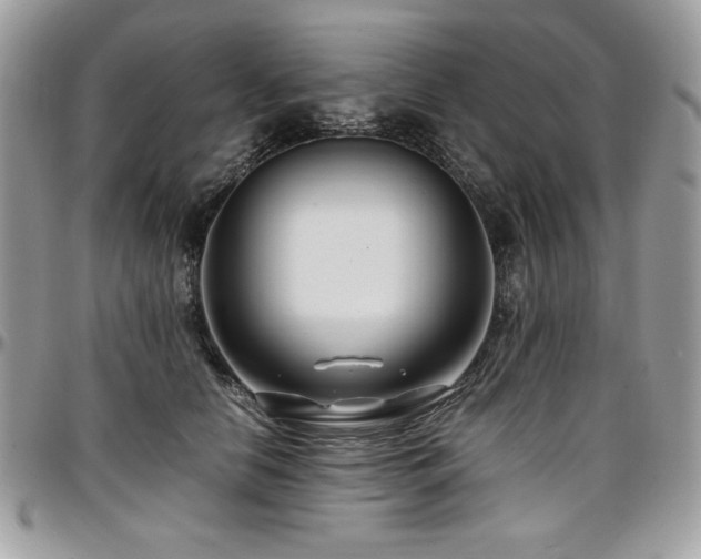 X0000097300658200802151439