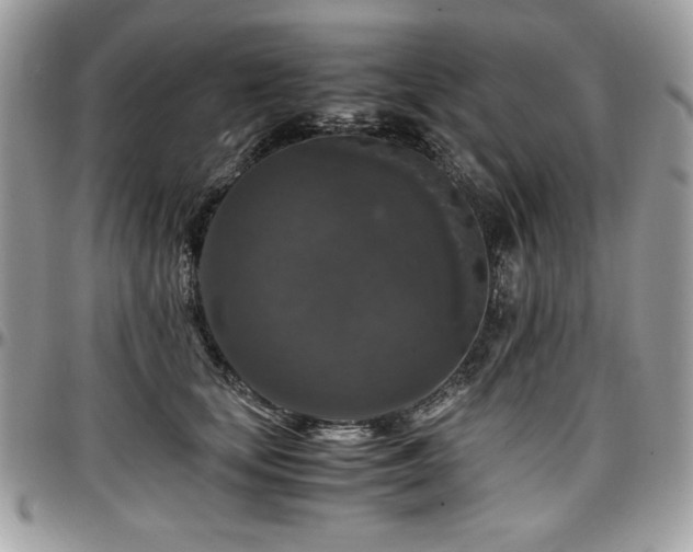 X0000097300659200802151439