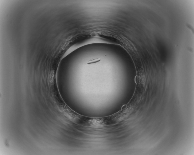 X0000097300660200802151439