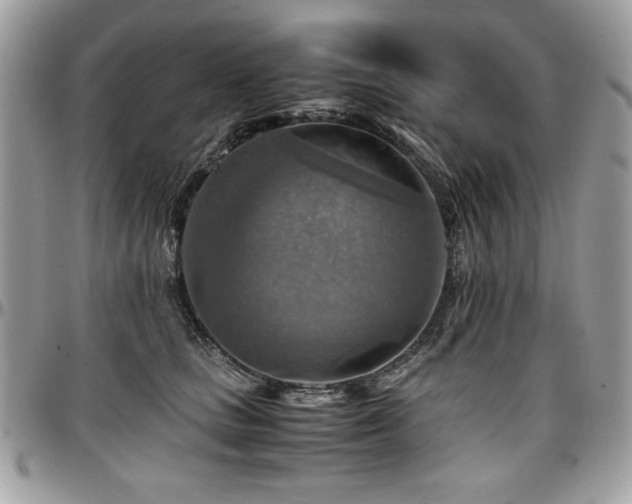 X0000097300661200802151439