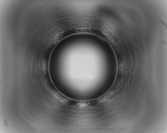 X0000097300662200802151440